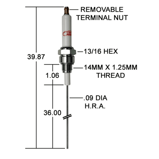 CA487 - Igniter/OJ-21-4 W/36 In. Tip
