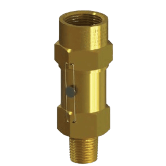 5246-200 - Henry - Relief 1-1/4 MPT-1-1/4 FPT - 200 - Brass Straight-Thru Type