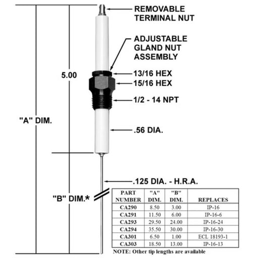 CA293 - Igniter/IP-16 W/24 In. Tip